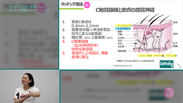 小澤智子のセラピストの強い武器になる!タッチング理論とファシアリリース